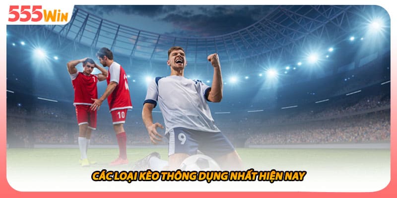 Cá Cược Bóng Đá Có Kinh Nghiệm Đặt Kèo Thắng Lớn Liên Miên 2 Các loại kèo thông dụng nhất hiện nay