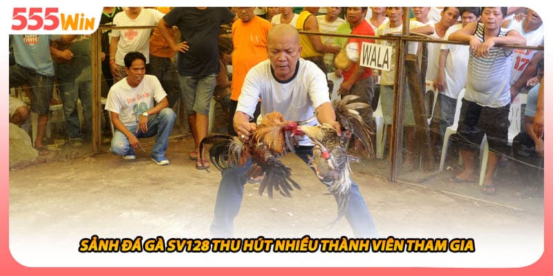 Đá Gà SV128 Sảnh Cược Chọi Chiến Kê Trực Tuyến Hấp Dẫn 1 Sảnh đá gà SV128 thu hút nhiều thành viên tham gia